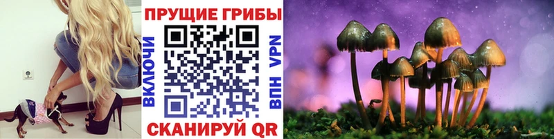 Псилоцибиновые грибы ЛСД  маркетплейс Telegram  Богданович 