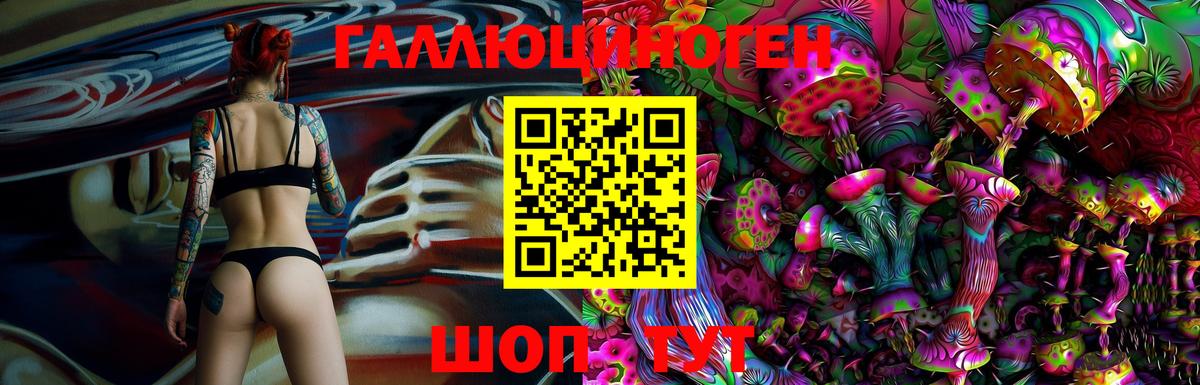 Псилоцибиновые грибы Psilocybe  Богданович 