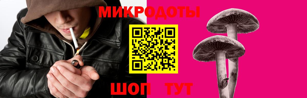 Богданович  Галлюциногенные грибы Cubensis  Вход с VPN 