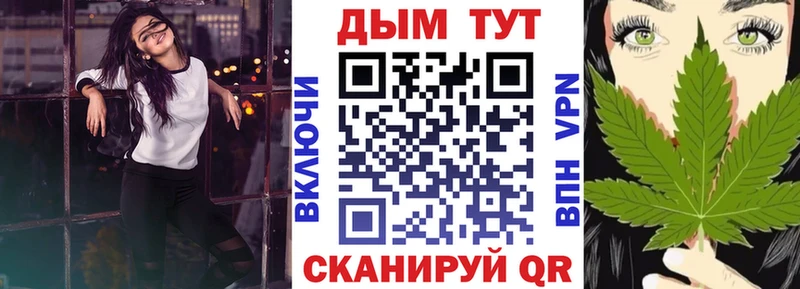 Конопля сатива  Богданович 