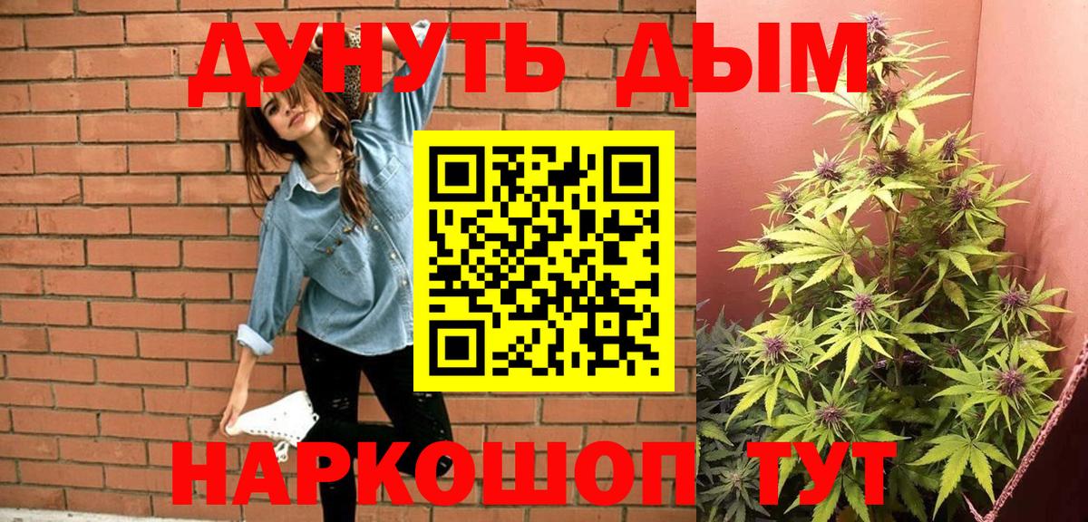 Бошки марихуана Amnesia Богданович